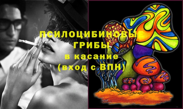 прущие крисы Сосновый Бор