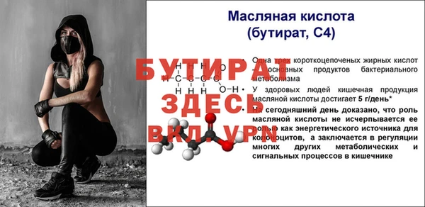 прущие грибы Сосновоборск