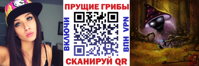 где найти   Зеленодольск  Галлюциногенные грибы Cubensis 