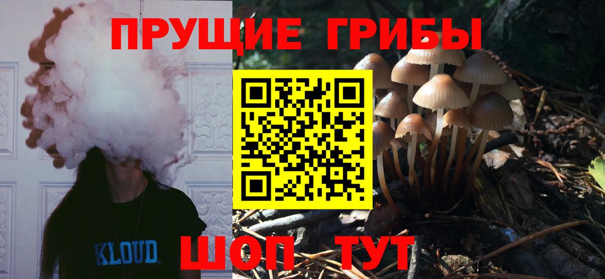 Галлюциногенные грибы Psilocybe  Вход с VPN  Зеленодольск 